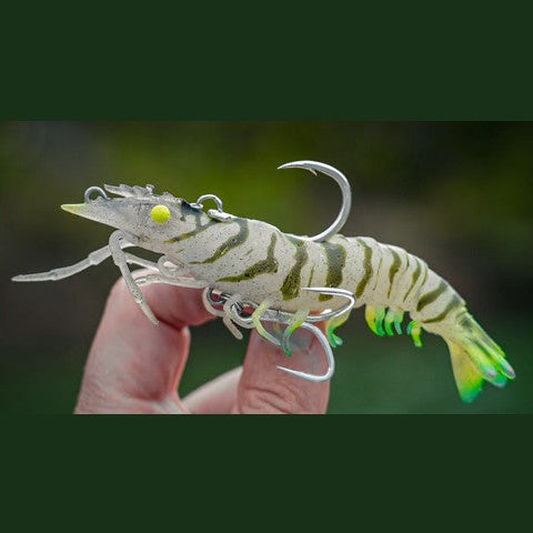Nomad Design SUMO SHRIMP RIGGED 4" LIVE OPS