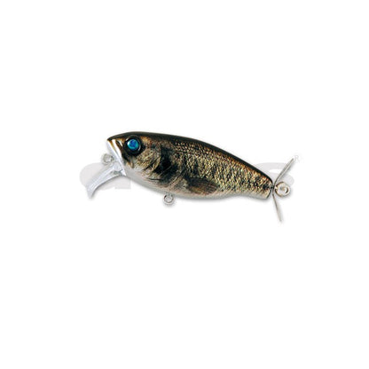 deps BUZZJET Jr