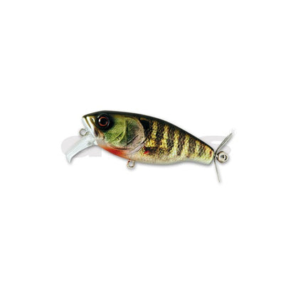 deps BUZZJET Jr