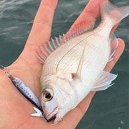 LITTLE JACK METAL ADICT type-ZERO LIGHT BLADE JIGGING 7g