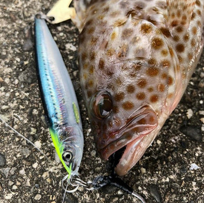 LITTLE JACK METAL ADICT type-ZERO 60g