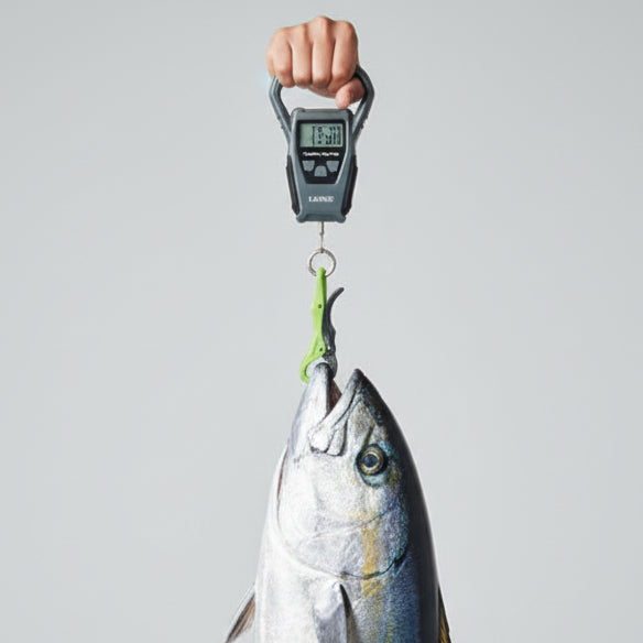 GAMAKATSU LUXXE DIGITAL SCALE IPX4 (Max 50kg)