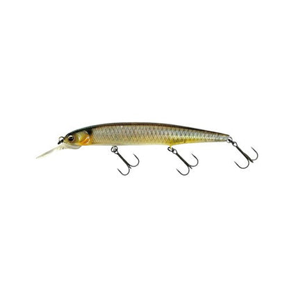 IMAKATSU DARDO 100