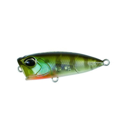 DUO TETRA WORKS POCOPOCO 40F