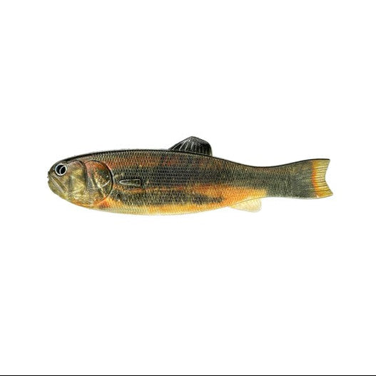 IMAKATSU BASSWORM 145