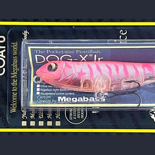 Megabass DOG-X Jr. COAYU [SB PINK ZEBRA]
