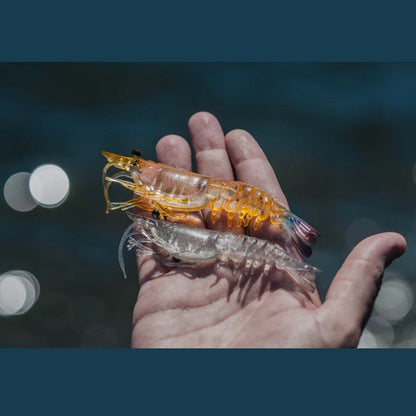 Nomad Design SWITCHER SHRIMP 2.3" LIVE OPS